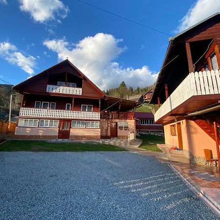 Pensiunea Daiana Albac Dış mekan fotoğraf