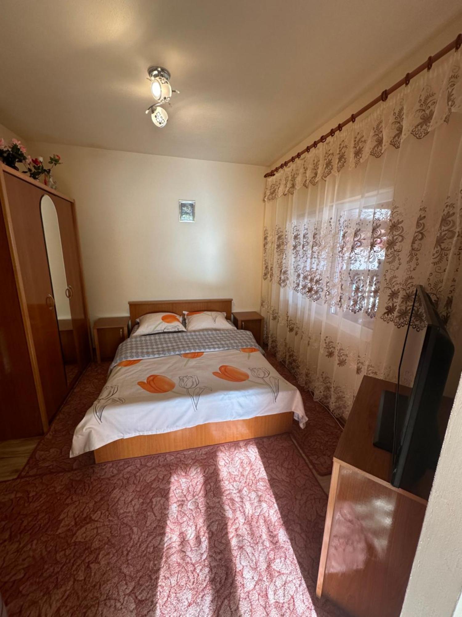 Pensiunea Daiana Albac Dış mekan fotoğraf