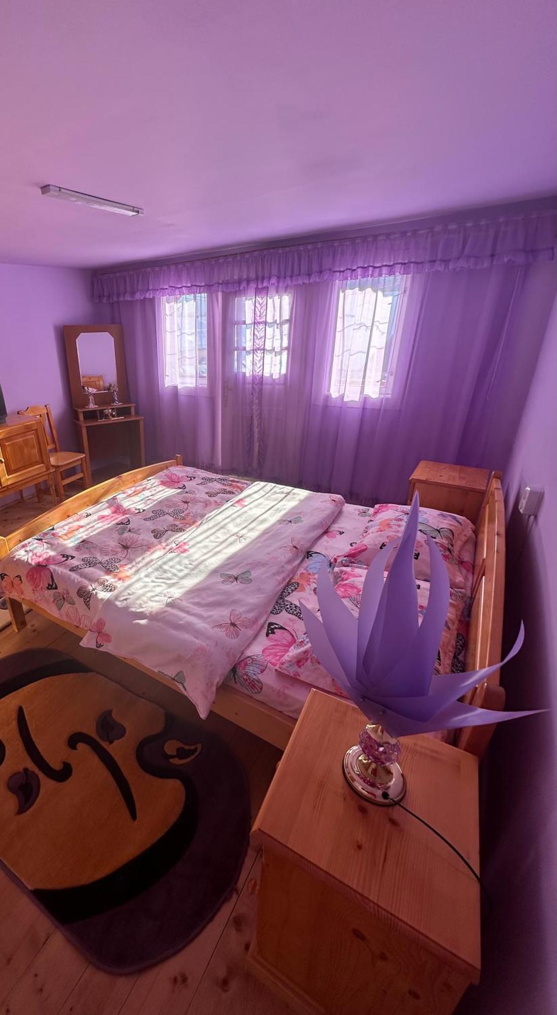 Pensiunea Daiana Albac Dış mekan fotoğraf